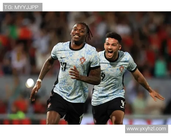 2017年葡萄牙与瑞典激战回顾两队精彩表现与战术分析